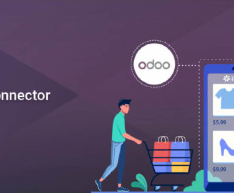 Odoo 14 API-connector-for-privalia