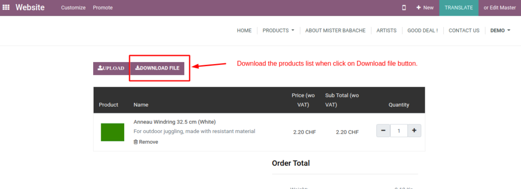 Odoo Website Module