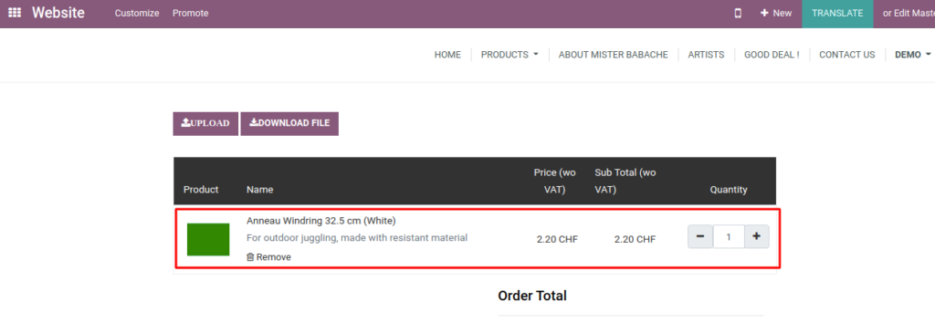 Odoo Website Module