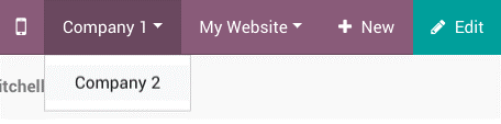 Multi-websites in Odoo