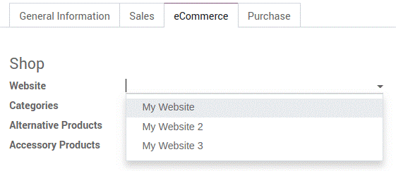 Multi-websites in Odoo