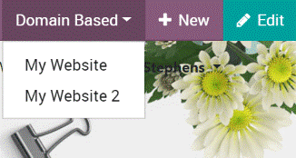 Multi-websites in Odoo