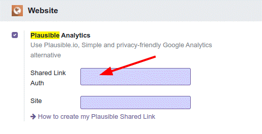 Track Website Traffic in Odoo 16 with Plausible.io