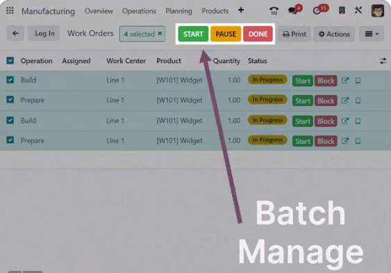 Odoo 17 Batch Management