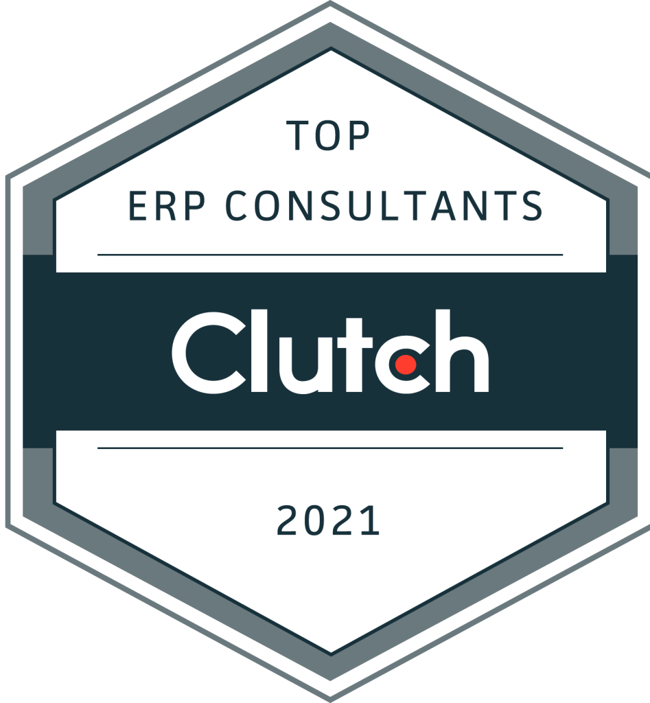 ERP Consultants 1