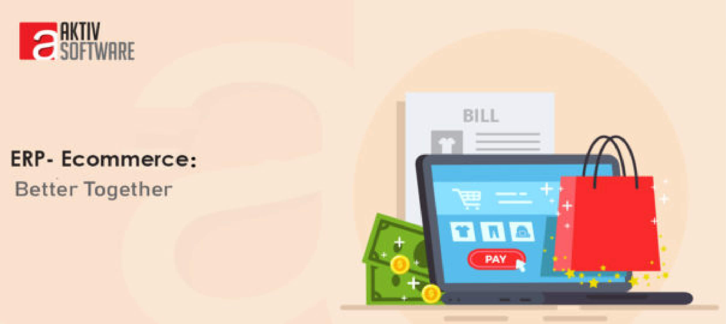 ERP e-Commerce Integration