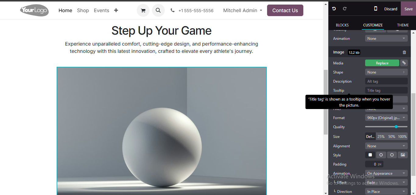 A Beginner’s Guide to Configuring Odoo Website SEO 3 Odoo Website SEO Configuration