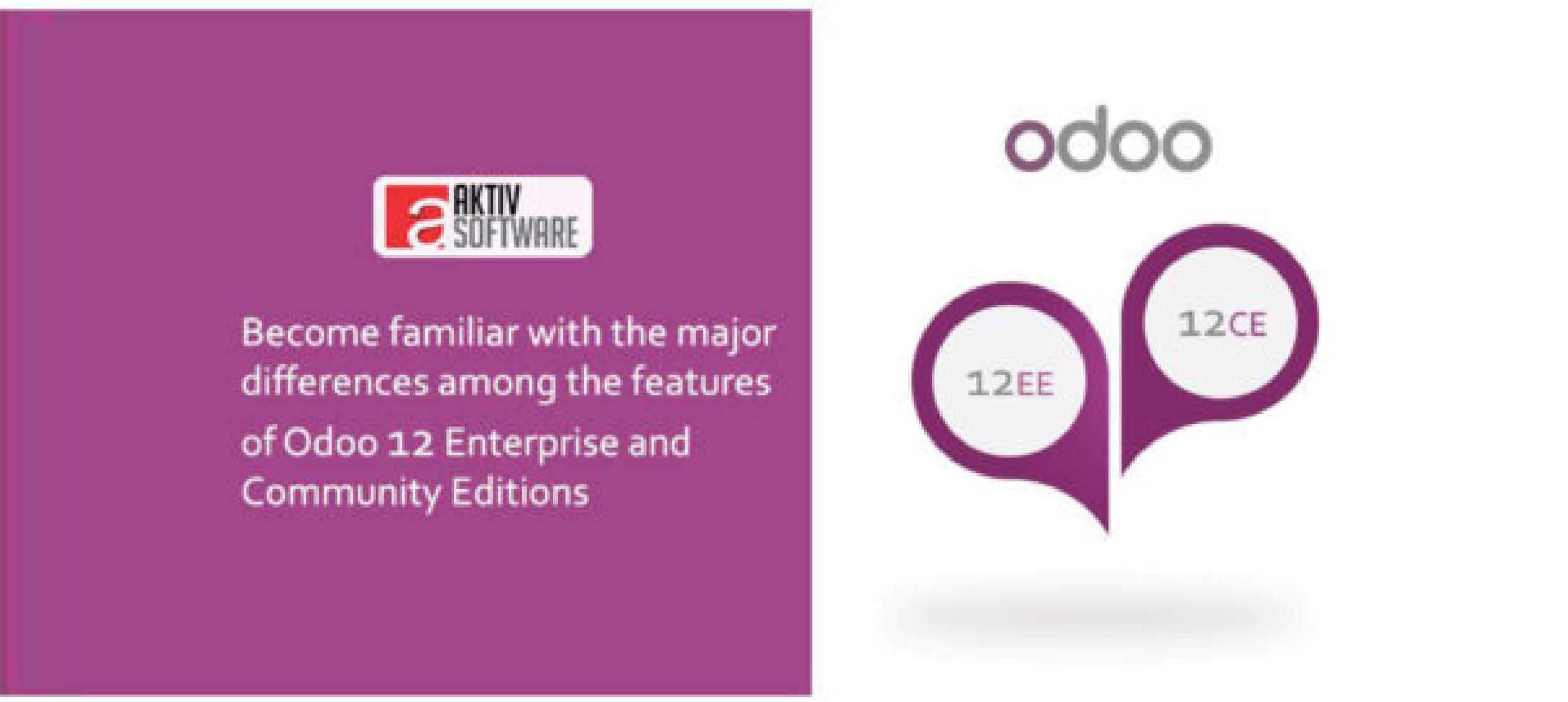 compare-matrix-for-the-features-of-odoo-12-enterprise-vs-community-editions|whom-to-prefer-for-odoo-ERP-implementation-professional-organizations-or-freelancer