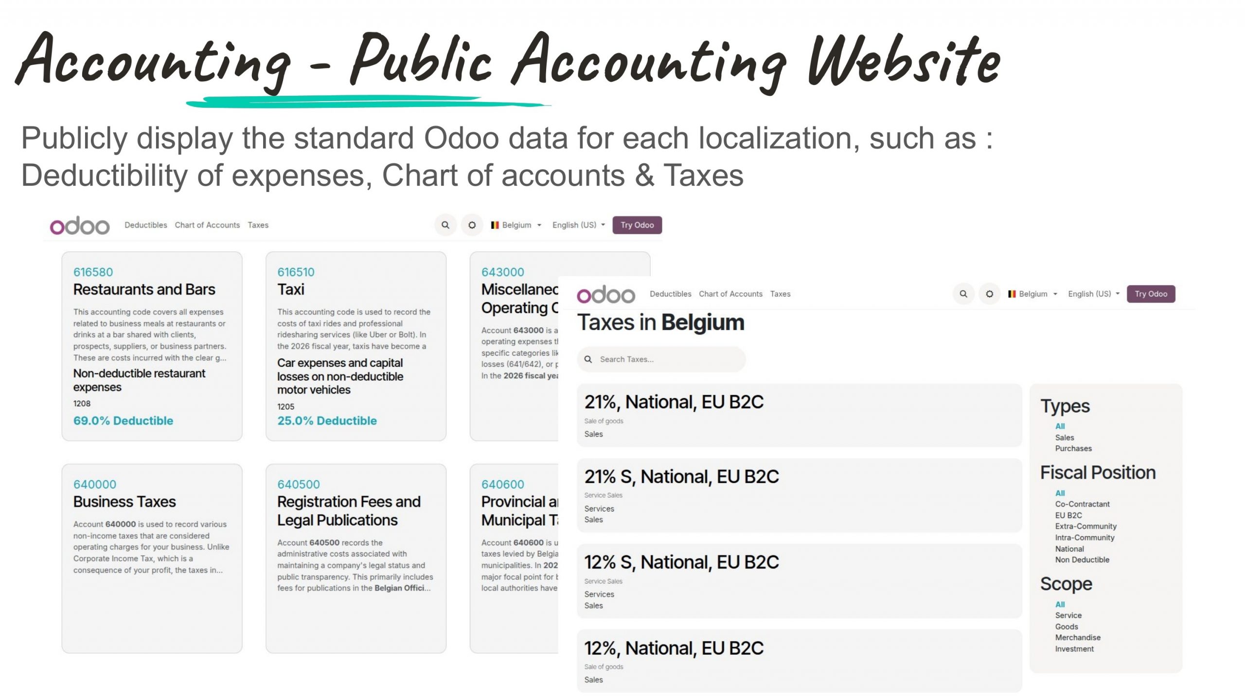 Accounting Website for Odoo