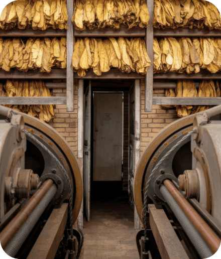 Tax Compliant Tobacco Distribution Image 2 1